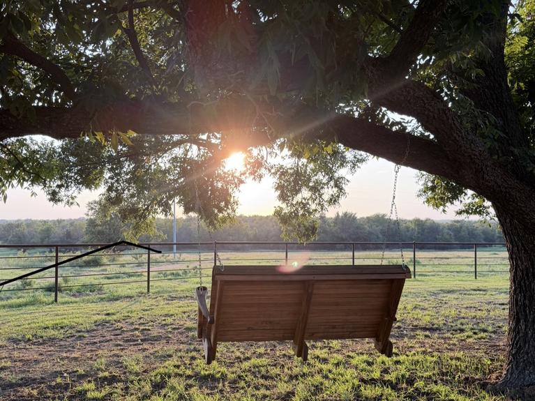 A photo of the sun going down through the branches of a willow tree on a farm. There's a porch swing hanging from one of the branches of the tree.